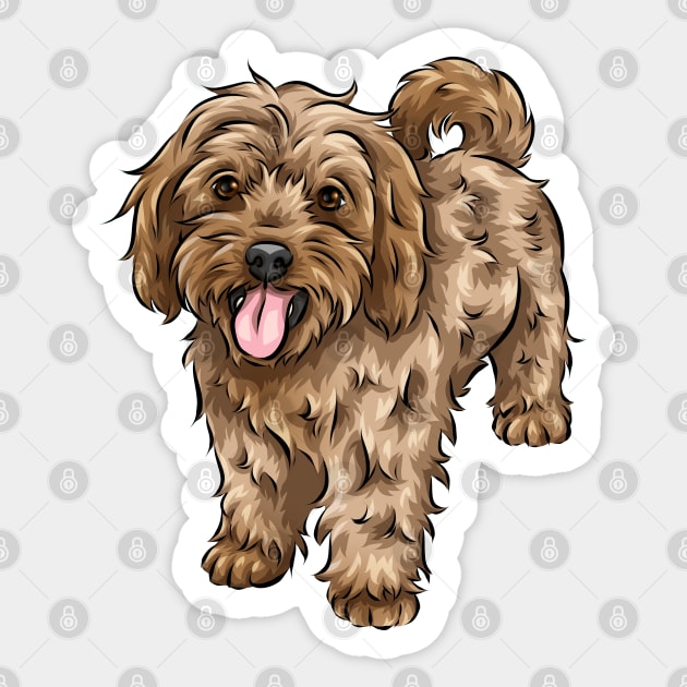 Cavapoo accessories store